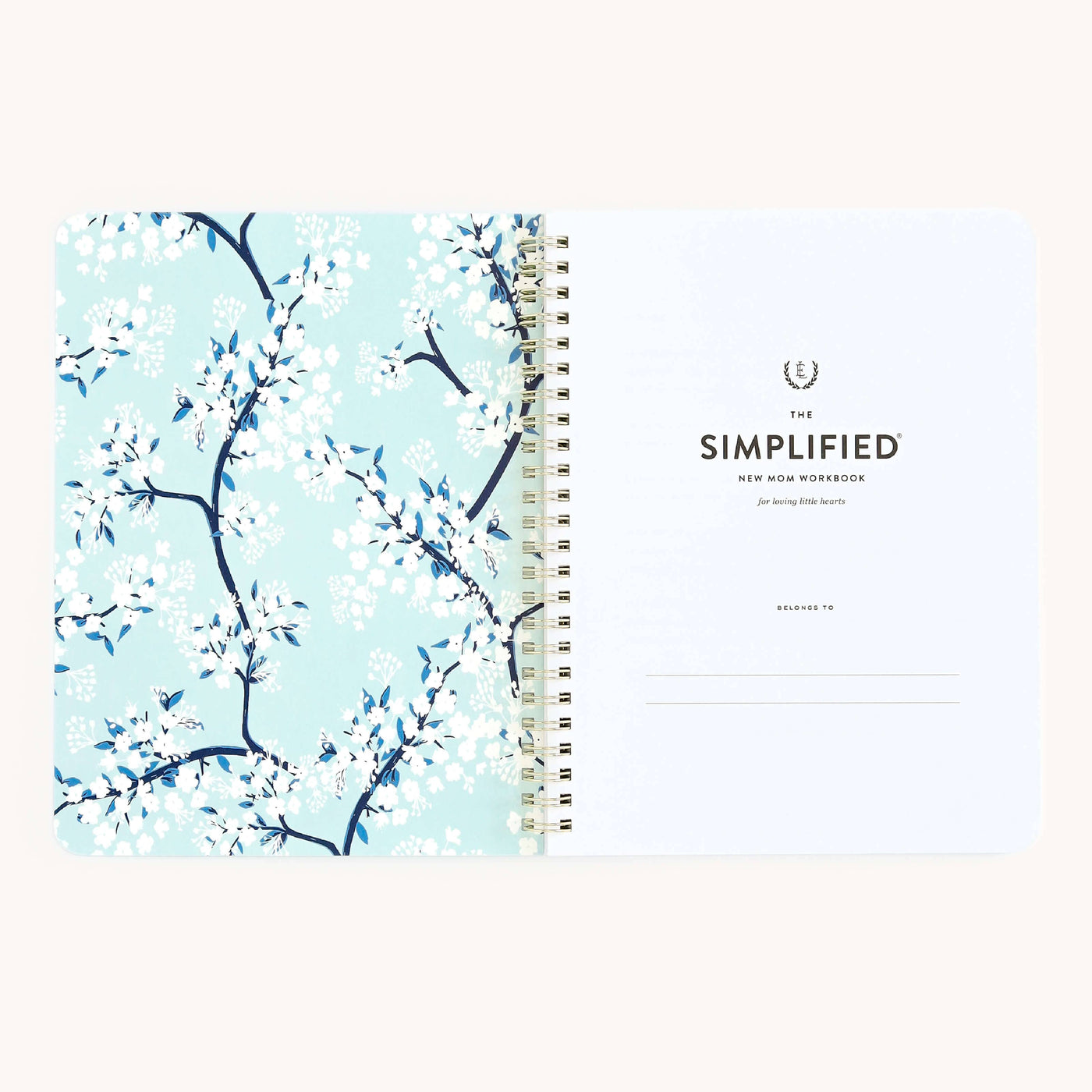 Simplified by Emily Ley - Workbook, New Moms