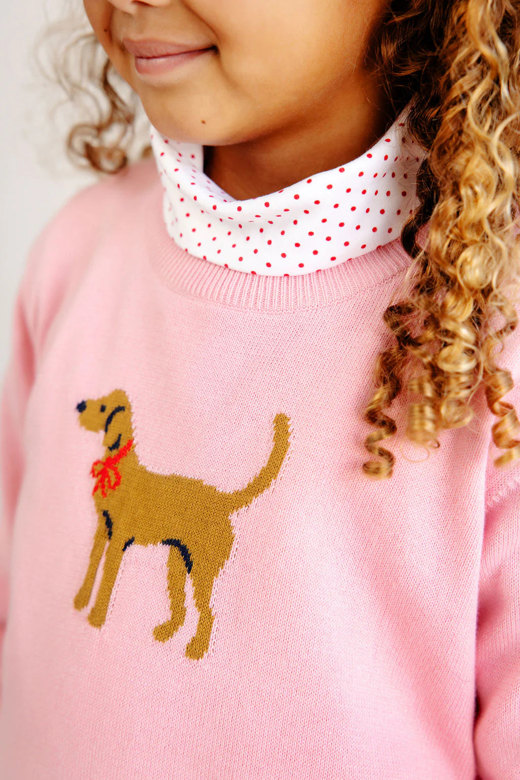 Isabelle's Intarsia Sweater- Dog