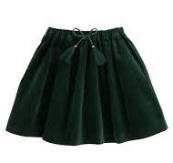 Circle Skirt-Emerald Velvet