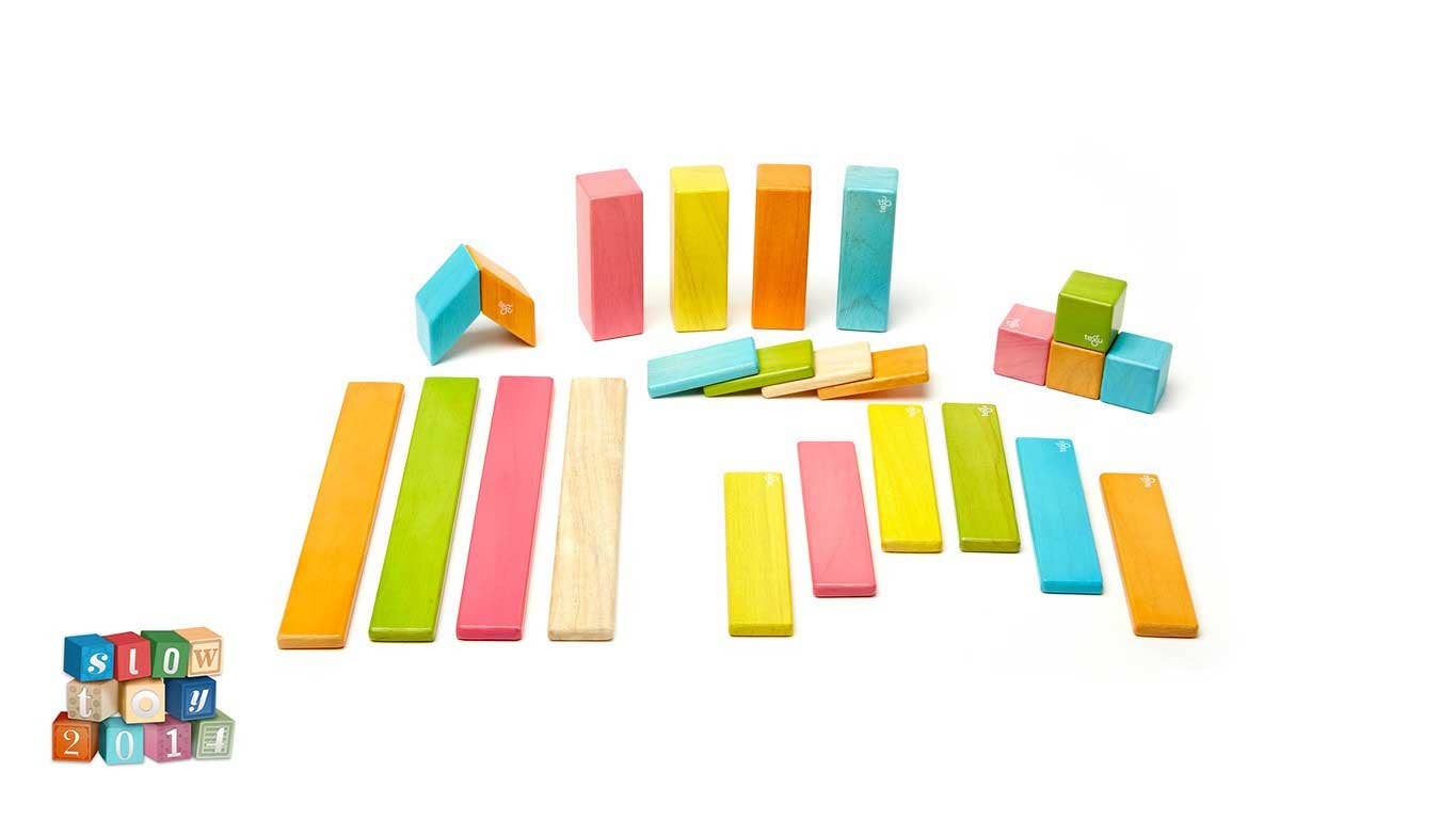 Tegu - 24 Piece Magnetic Wooden Block Set - Mumzie's Children