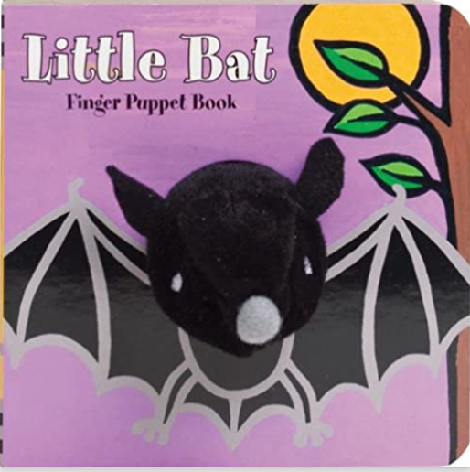 Little Bat Hachette Book